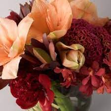 James wan's horror throwback follows a young woman with a mysterious connection to a brutal killer. Allan Woods Flowers 37 Photos 57 Reviews Florists 2645 Connecticut Ave Nw Washington Dc United States Phone Number Yelp