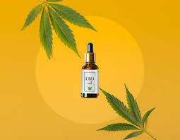Best CBD oil Products on the Market for 2022 with Video Reviews