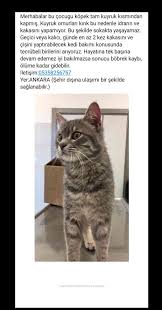 1 Aylik Bebek Kakasini Yapamiyor