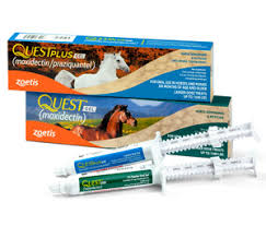 Traditionally, veterinarians recommend worming your horse every two months. Quest And Quest Plus Horse Dewormer Zoetis Us