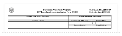 E.g., amounts eligible for forgiveness. A Complete Guide To Ppp Loan Forgiveness For The Self Employed Alignable