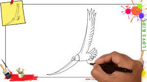 In this art video i show you how to draw a cute simple cartoon eagle in real time step by step easy.leave a comment if you have questions and requests!don't. How To Draw An Eagle Flying Easy Step By Step For Kids Beginners Children Youtube