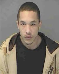 ᐅ Illinois Criminal Records 2009-2025