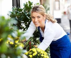 It is written, produced and performed by students and graduates of aberdeen's universities and higher education institutions. Flower Delivery Grangemouth Same Day Delivery Falkirk Flowers