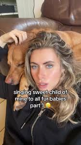You’re not even ready for the amount of animals that are in my life : PART  1 beautiful BODIE #VoiceEffects #singer #cover #sweetchildofmine  #dogsoftiktok #furbaby