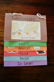 Learning 4 Fun Rainforest Classroom Rainforest Rainforest Activities