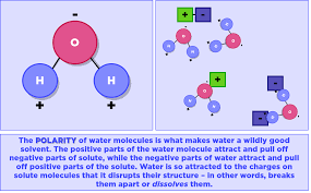 Molecular formula of water is. Good Solvent Water Properties Examples Expii