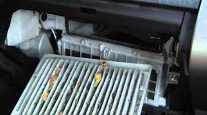 Check spelling or type a new query. How To Change A Prius Cabin Air Filter In 5 Minutes Youtube
