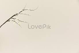 Sesejenis tumbuhan ditakrifkan sebagai pokok sekiranya tumbuhan tersebut mempunyai akar, batang, dahan, dan daun. 55000 Dahan Pokok Gambar Unduh Gratis My Lovepik Com