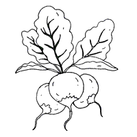 Click on the free vegetables colour page you. Fruit And Vegetable Coloring Pages Surfnetkids