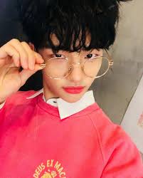If hyunjin had not made it as a member of stray kids. Hyunjin Stray Kids Wiki Fandom