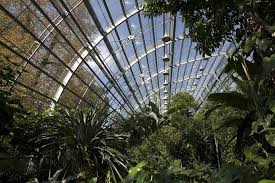 Januar 2021 daniel kemmerich 0. Amazonienhaus Der Wilhelma In Stuttgart Glas Sonderbauten Baunetz Wissen