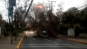 De acuerdo con varias publicaciones, el corte del servicio afectaría a las. Usuarios Suben A Redes Sociales Videos De Caida De Arboles Y Corte De Luz En Santiago Meganoticias