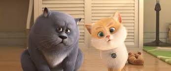 Kediler Kedi Animasyon Filmler Film