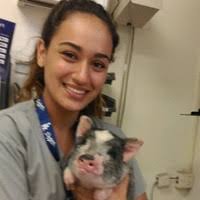 900+ Profile mit dem Suchbegriff „Loya“