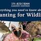 Planting for Wildlife @ Ringwood Garden Centre event image