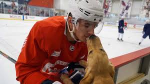 Jakub vrána (born 28 february 1996) is a czech professional ice hockey forward for the detroit red wings of the national hockey league (nhl). Jakub Vrana 2019 20 Season Review
