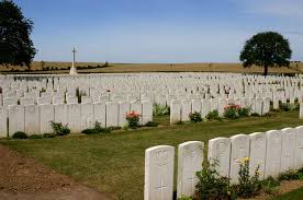 North Irish Horse - Gallery - In ...