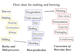 flow chart for malting and brewing ppt video online download