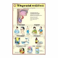 Thyroid Charts View Specifications Details Of Medical