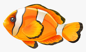 If you like, you can download pictures in icon format or directly in png image format. Clownfish Clip Art Transparent Background Fish Clipart Transparent Hd Png Download Kindpng