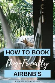 Sure enough, you would have to make some changes to your property, as well. How To Book A Pet Friendly Airbnb There S More To It Than You Think