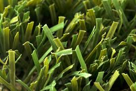 Ratings, reviews and photos from the local customers and articles about turf king. Turf Kings