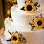 Happy Birthday Sunflower Cake Images