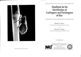 leafhoppers and planthoppers of rice