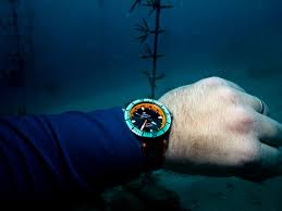 Image result for diving watch