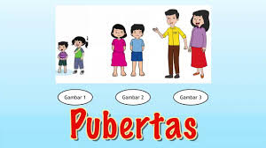 Merupakan titik pencapaian kematangan seksual, ditandai dengan keluarnya darah. Ph Tema 7 Ipa Biology Quiz Quizizz