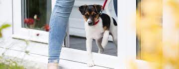 We did not find results for: Top Tips For Socialising Your Puppy Purina