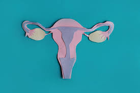 Ovarian cysts often form as part of the menstrual cycle. Ovarian Cysts Causes Symptoms Treatment And Removal