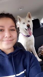 kids like watching excavators and jumping over logs