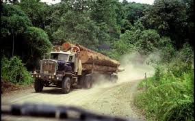 Sabah petroleum industry workers union. Timber Industry In Sabah Might Recover Once With Log Export Ban
