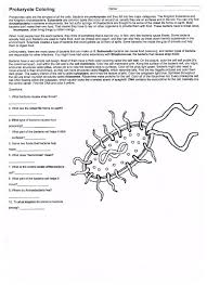 Cells Worksheets Ms Friedman S Foundations In Science Cell Biology Coloring Worksheet Cells Worksheet Color Worksheets Prokaryotes