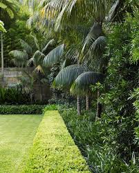 Dangarbarinsmith On Instagram A Jungle Like Corner Of A Double Bay Project With The Contra Tropical Garden Design Tropical Garden Plants Tropical Landscaping