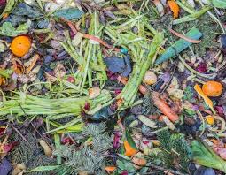 Reussir Son Compost En 5 Points Comment Faire Du Compost Faire Son Compost Engrais Naturel