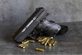 Hi Point Firearms Yeet Cannon G1