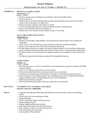 clerk typist resume samples velvet jobs