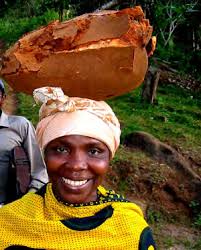 IUFRO World Series Volume 23