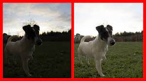 My first choice is always to use natural filtered light through a window. Photoshop Cc 2017 Tutorial How To Make A Dark Image Brighter Youtube