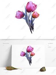 Apabila daerah anda hanya memiliki satu musim, kemungkinan besar anda tidak perlu memberikan pupuk sama sekali. Bahan Dekorasi Cluster Bunga Tulip Yang Dilukis Dengan Tangan Gambar Unduh Gratis Grafik 732838890 Format Gambar Psd Lovepik Com