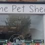 The Pet Shed, Brighton and Hove from m.facebook.com