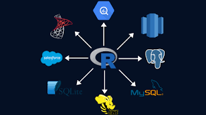 A Comprehensive Introduction To Working With Databases Using