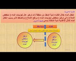 الاحياء الصف الثانى الثانوى خاصية الاسموزية Facebook