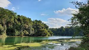 We did not find results for: 211 624 Tropical Rainforest Photos Free Royalty Free Stock Photos From Dreamstime