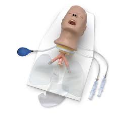 Image result for Advanced Airway