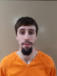 Court sentencing briefs