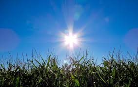 Don't skimp on sunscreen most of us don't appl. Skin Cancer Prevention And Detection Tips Prime Urgent Care
